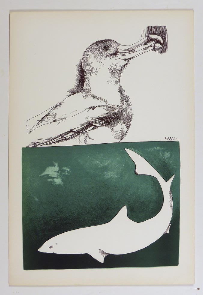 Leonard BASKIN Sea Gull and Shark - Lithographie in Farbe aus 1970