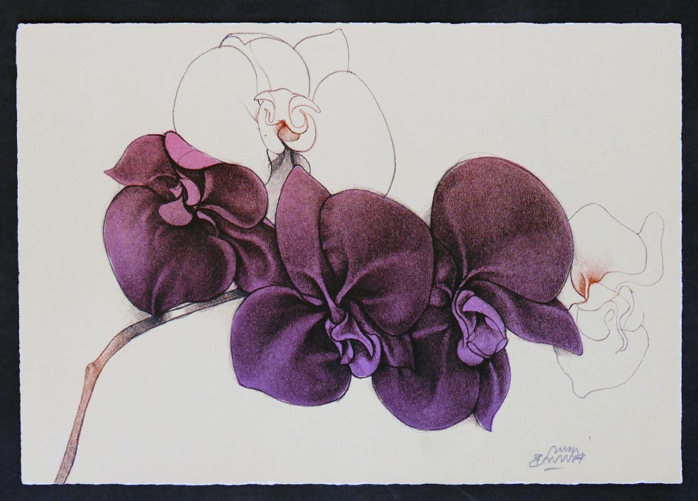 Bruno BRUNI Orchidea WKV 255 - Lithographie in Farbe aus 1981
