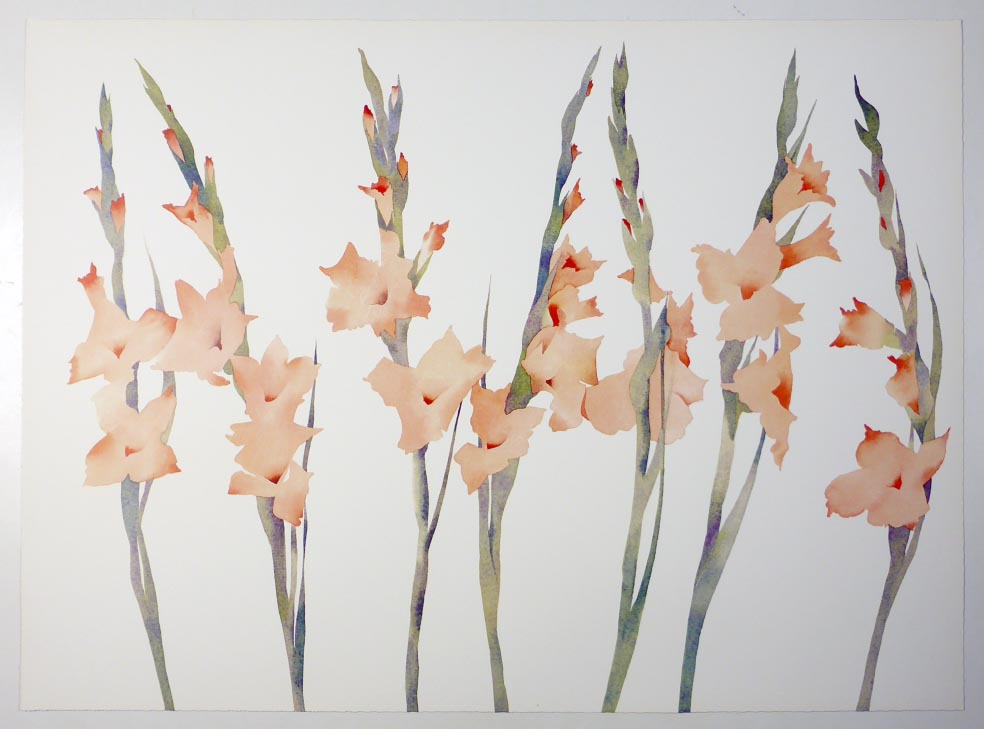 Susan HEADLEY-van-CAMPEN Gladioli - Gladiolen - Lithographie in Farbe