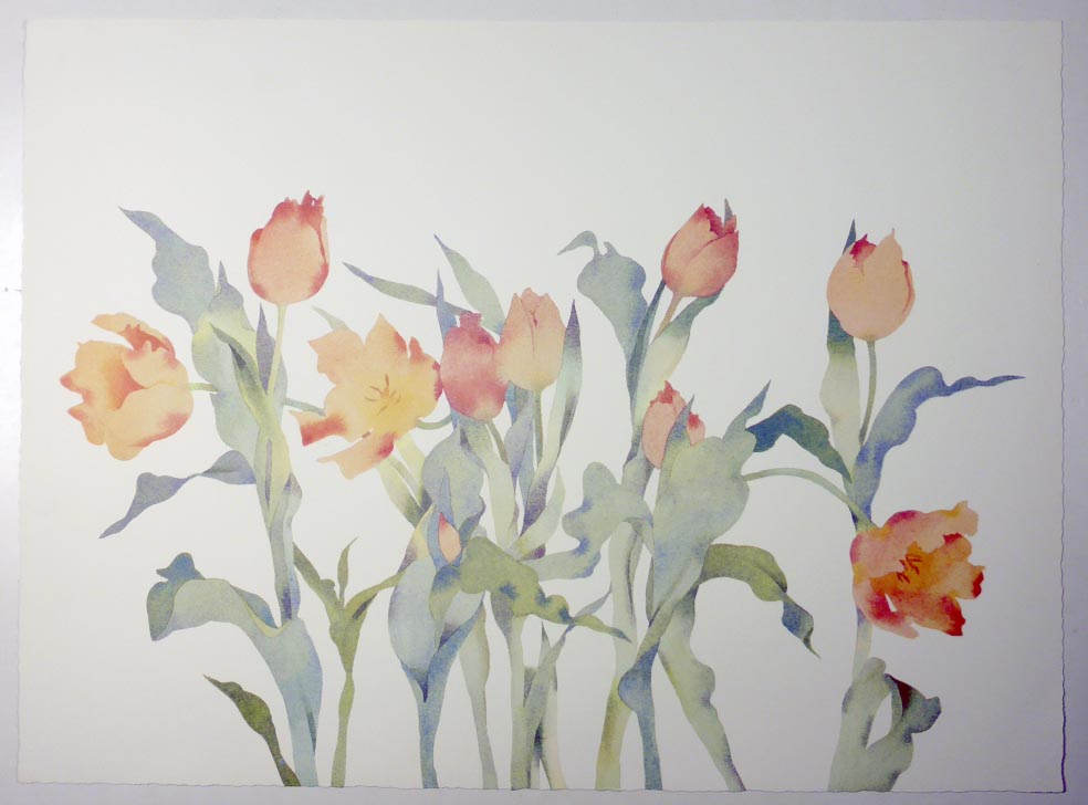 Susan HEADLEY-van-CAMPEN Peach Tulips - Pfirsichtulpen - Lithographie in Farbe