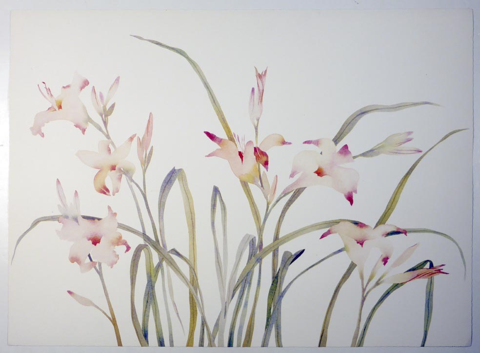 Susan HEADLEY-van-CAMPEN Pink Lilies - Pinke Lilien - Lithographie in Farbe