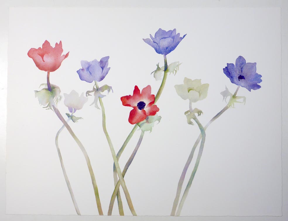 Susan HEADLEY-van-CAMPEN Poppies - Mohnblumen - Lithographie in Farbe