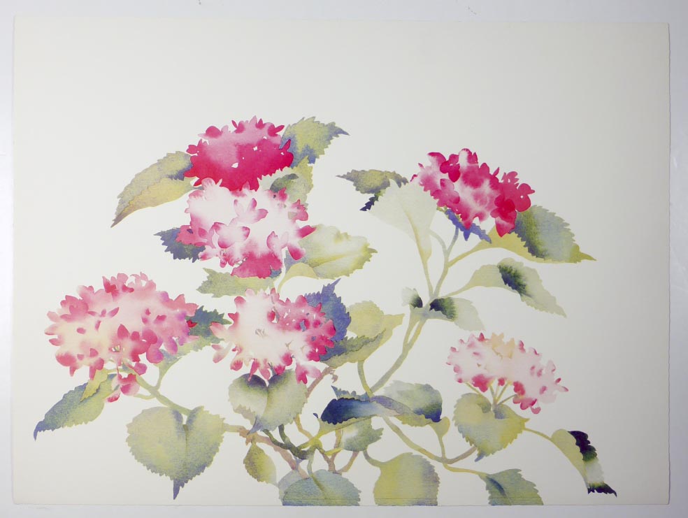 Susan HEADLEY-van-CAMPEN Red Geraniums - Rote Geranien - Lithographie in Farbe
