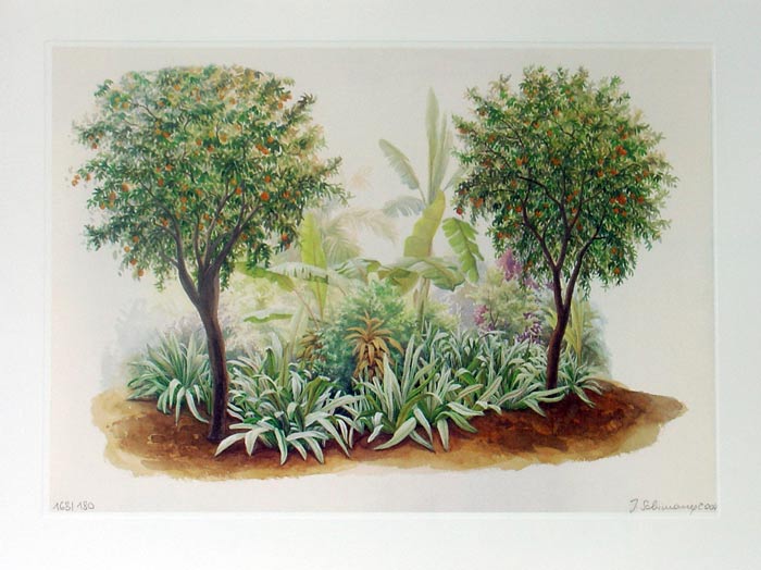 Judith SCHIMANY Andalusischer Garten - Lithographie in Farbe aus 2004