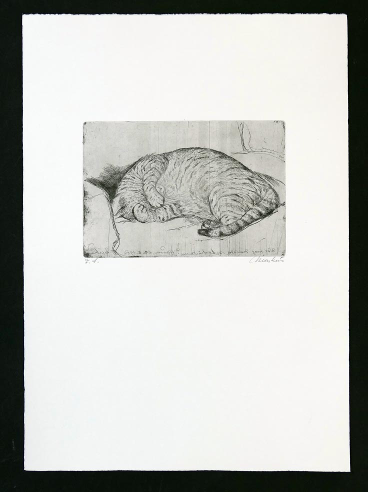 Markus VALLAZZA Mappe Da und Dort 1992 - Katze - Radierung