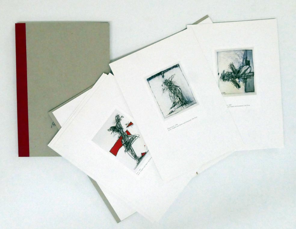 Robert WEBER Werkportrait - Kunstbuch