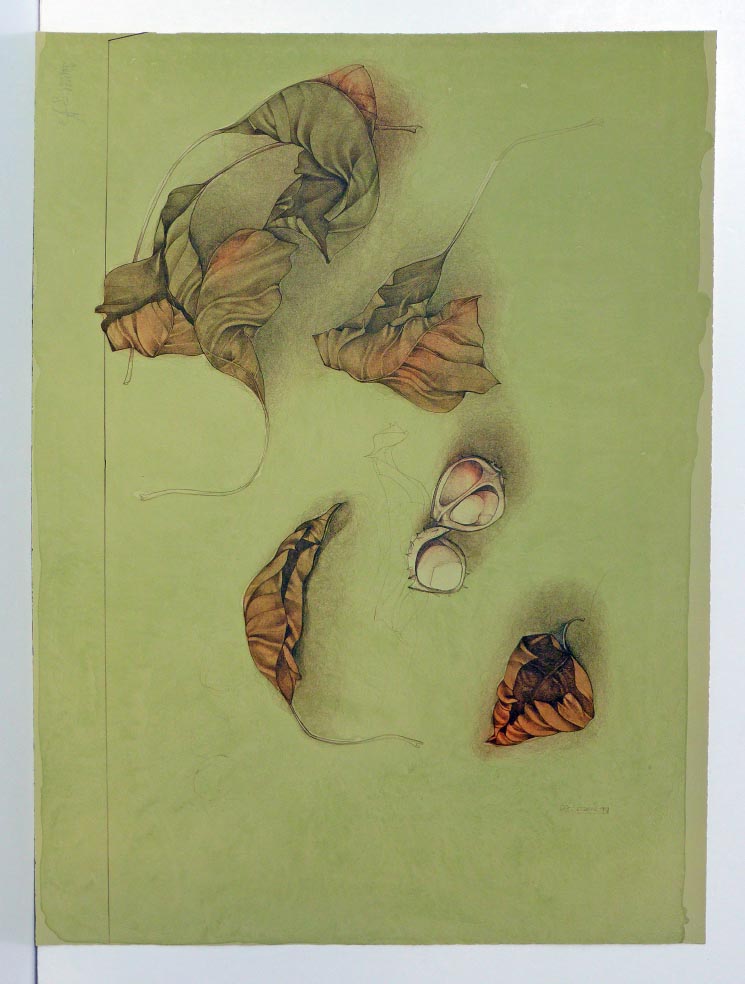 Galerie GTK